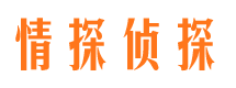 平度侦探